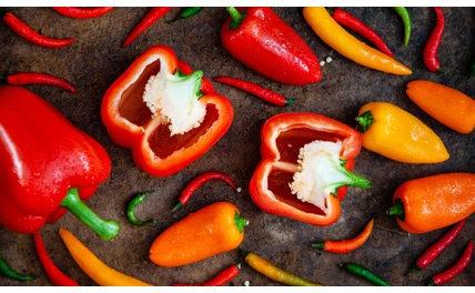 W czym jest witamina A i dlaczego warto ją suplementować?